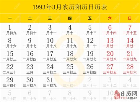 1993年8月20日|1993年